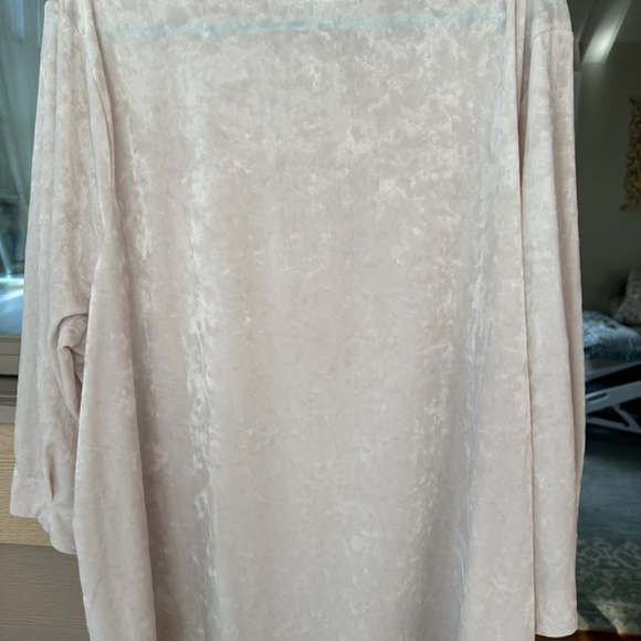 NWT J. Jill Crushed Velvet A-Line Top (4X) - Picture 9 of 16